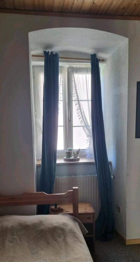 Turmhaus Trieben Wohnung 1 Εξωτερικό φωτογραφία
